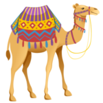 Camel Riding included in tour of top desert safari dubai